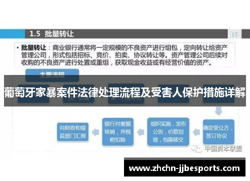 葡萄牙家暴案件法律处理流程及受害人保护措施详解